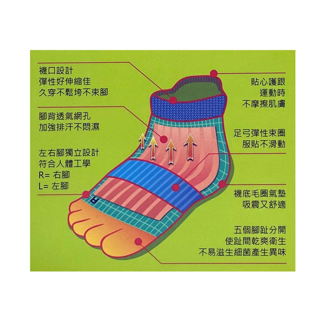 T1700-1.1 抗菌除臭 五指踝襪